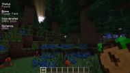 A player checks their current biome with Nature's Compass (Image via Chaosyr/CurseForge)